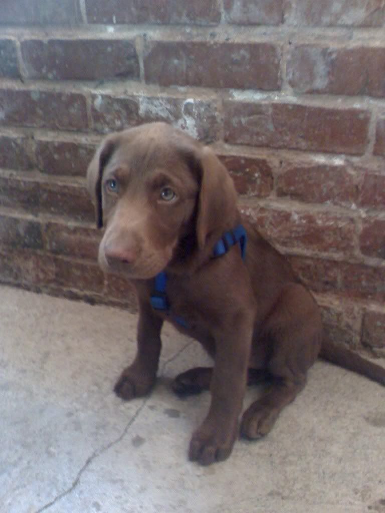otis2.jpg