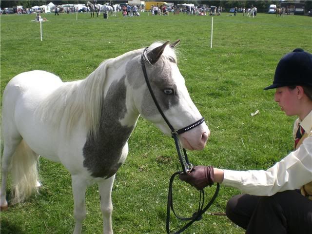 IMAGE(http://i156.photobucket.com/albums/t35/Minimad1/Alfie2.jpg)