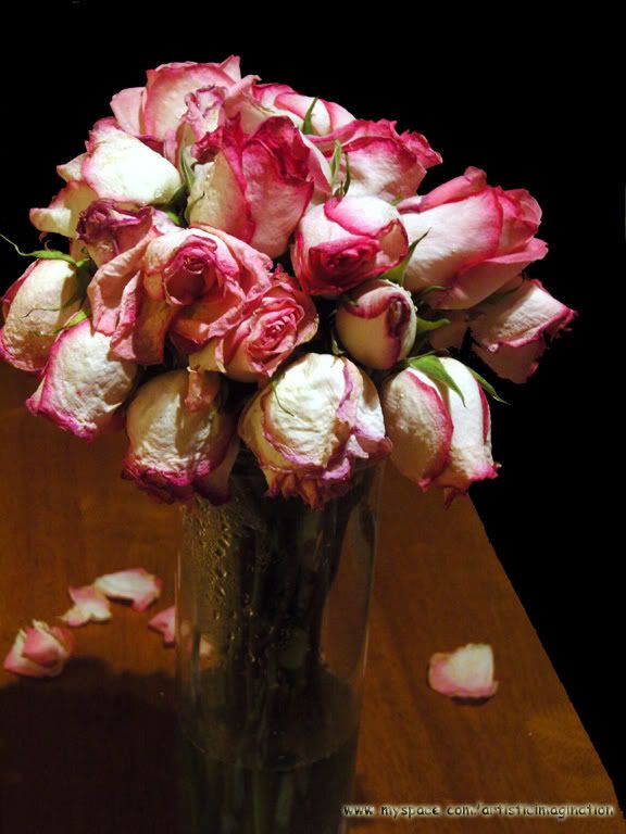 kevinsshoot1march20070311myspaceres