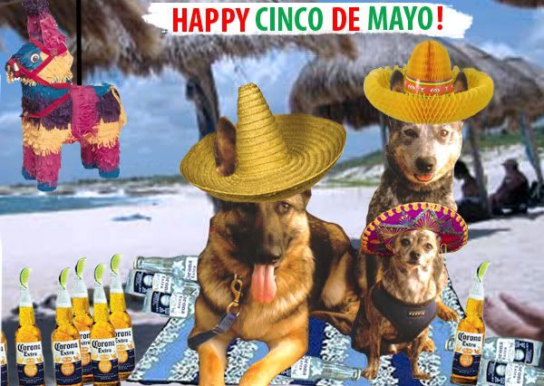 cinco de mayo history for kids. cinco de mayo pictures for