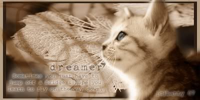 dreamer.jpg