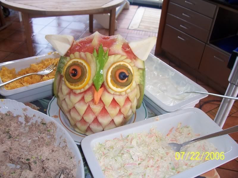 melon owl