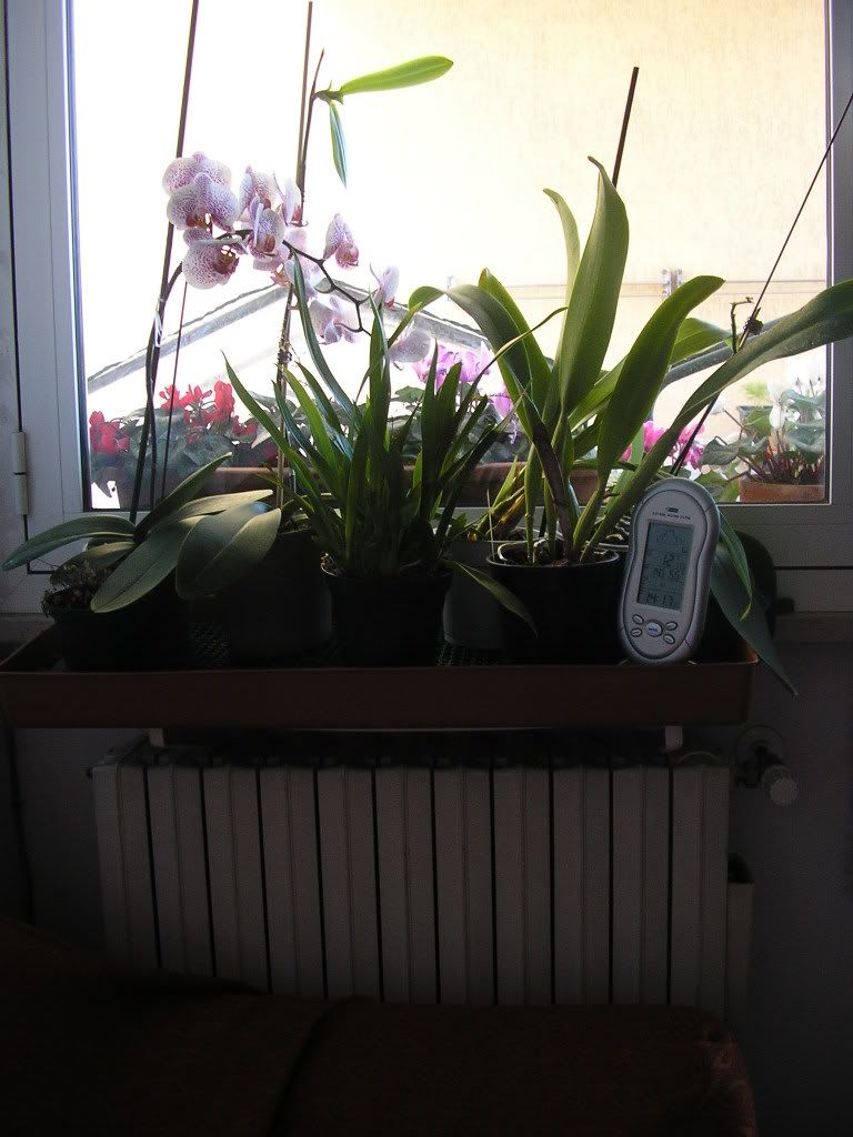 P2180150.jpg