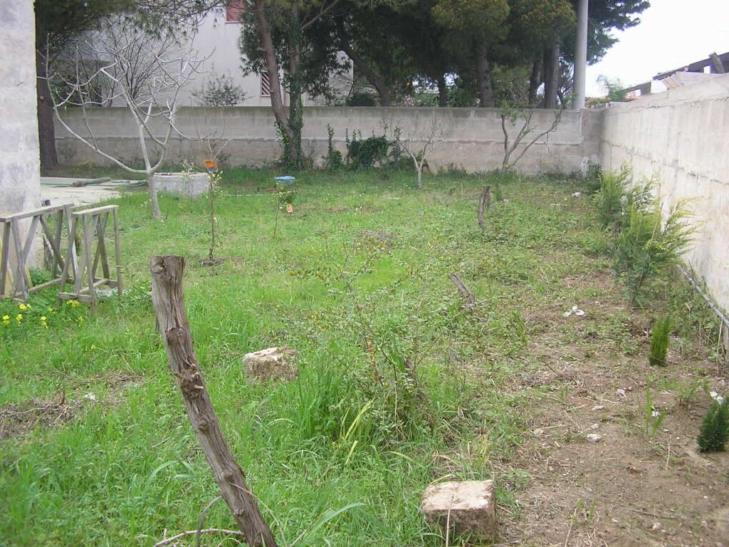 P3060047.jpg