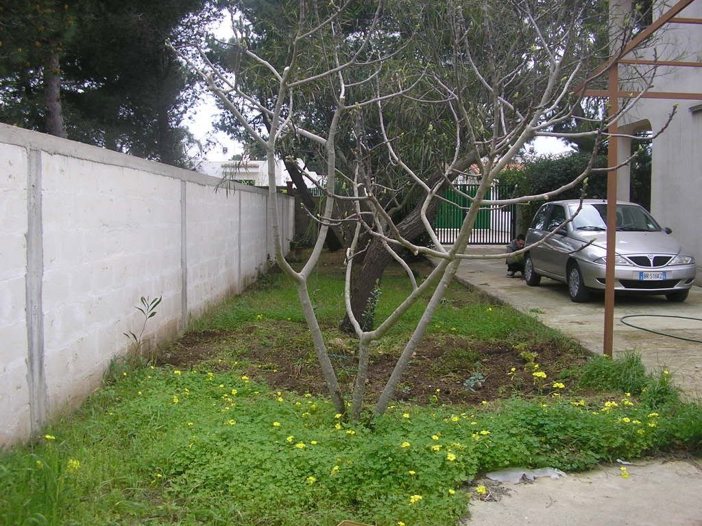 P3060051.jpg