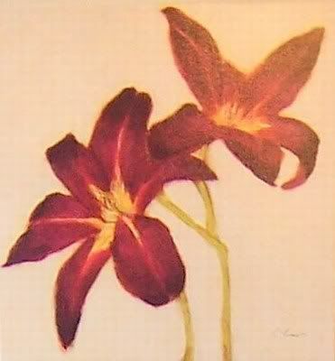 Lily
