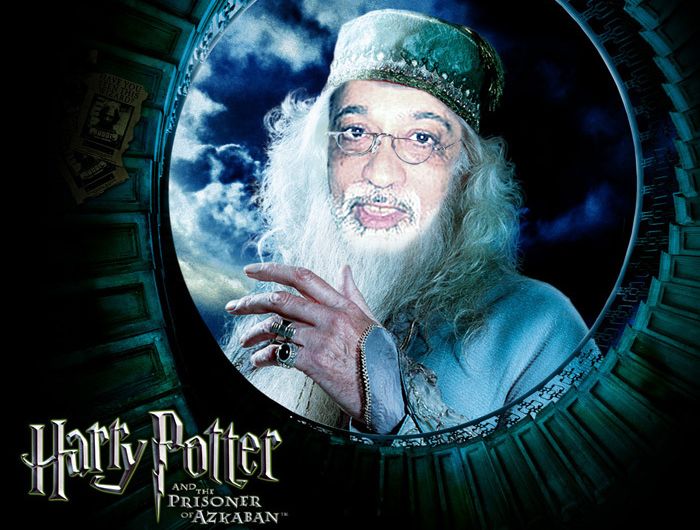 POV-dumbledore2.jpg