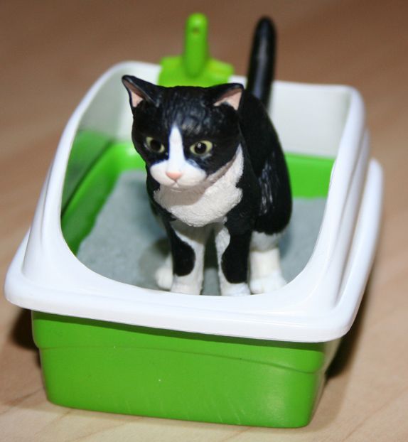 kitty-litter-box2-1.jpg