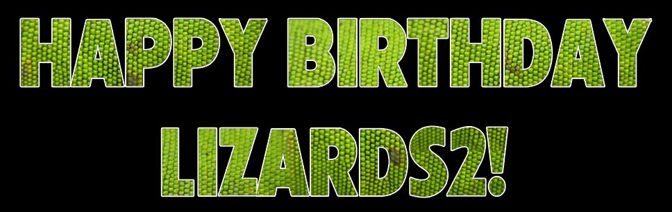 lizards2-bday12.jpg