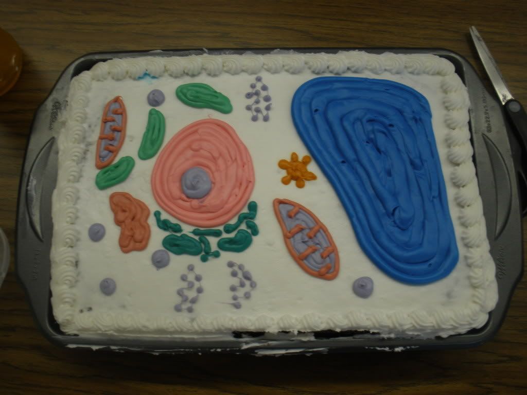 Cake Cell