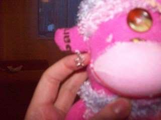 20090222_14.jpg