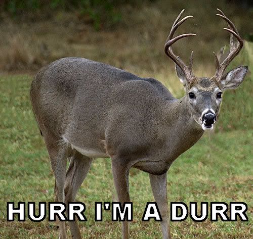 Hurr-Im-A-Durr.jpg