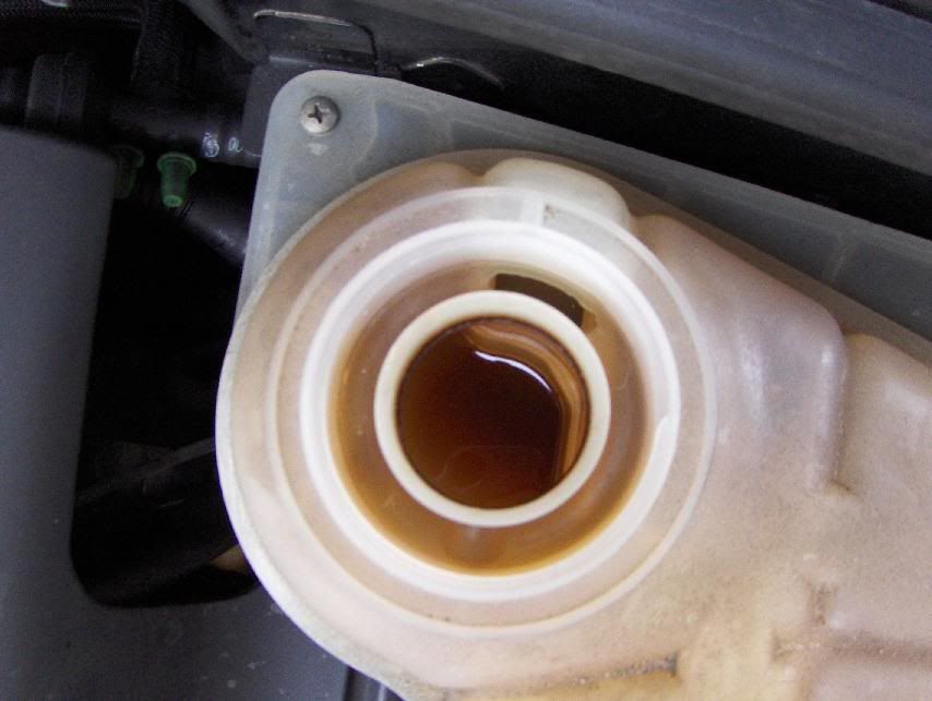 verrrrrry cracked belt....dirty coolant? pics inside