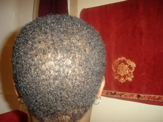 DSC01680-3.jpg