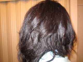 IMG_0990.jpg