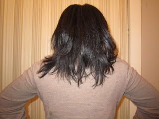 IMG_1034.jpg
