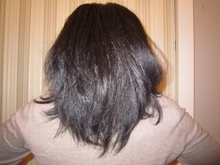 IMG_1037.jpg