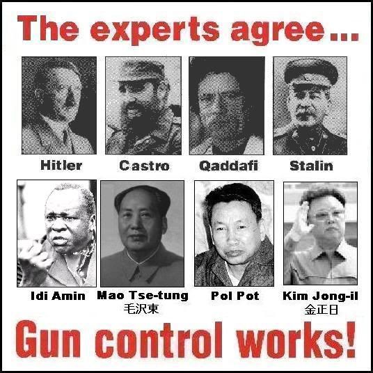 gun control photo: Gun Control gun_control_works.jpg