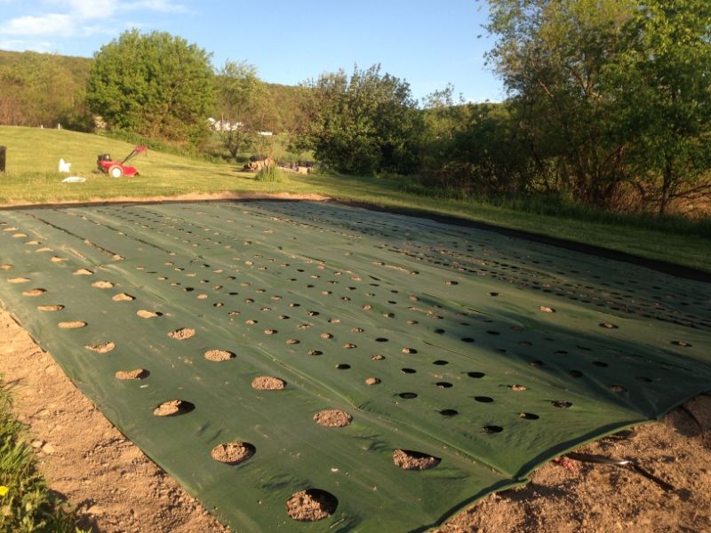  photo 8fdbe776-43c9-453a-8b5e-c6e255156c40_zps1b3a62dc.jpg