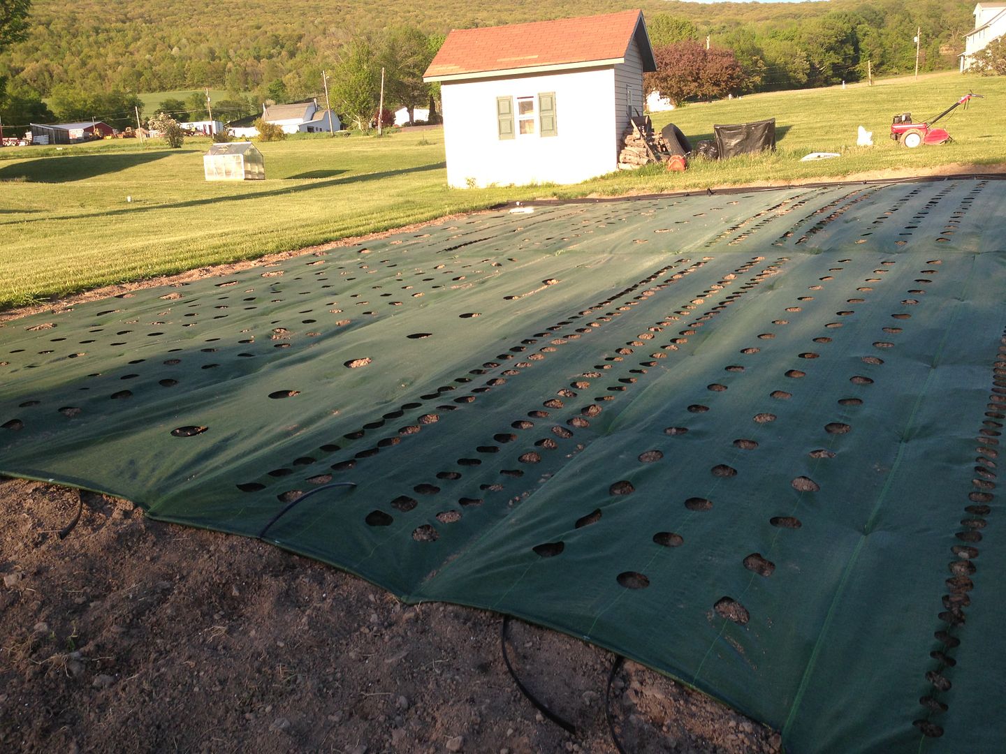  photo IMG_1302_zps2481ad01.jpg