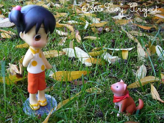 toyproject_6.jpg 6/365 Toy Project picture by IL0vePullip