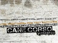 CaneCorso – “Poetic” la download!