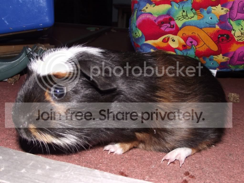 DSCF1153.jpg