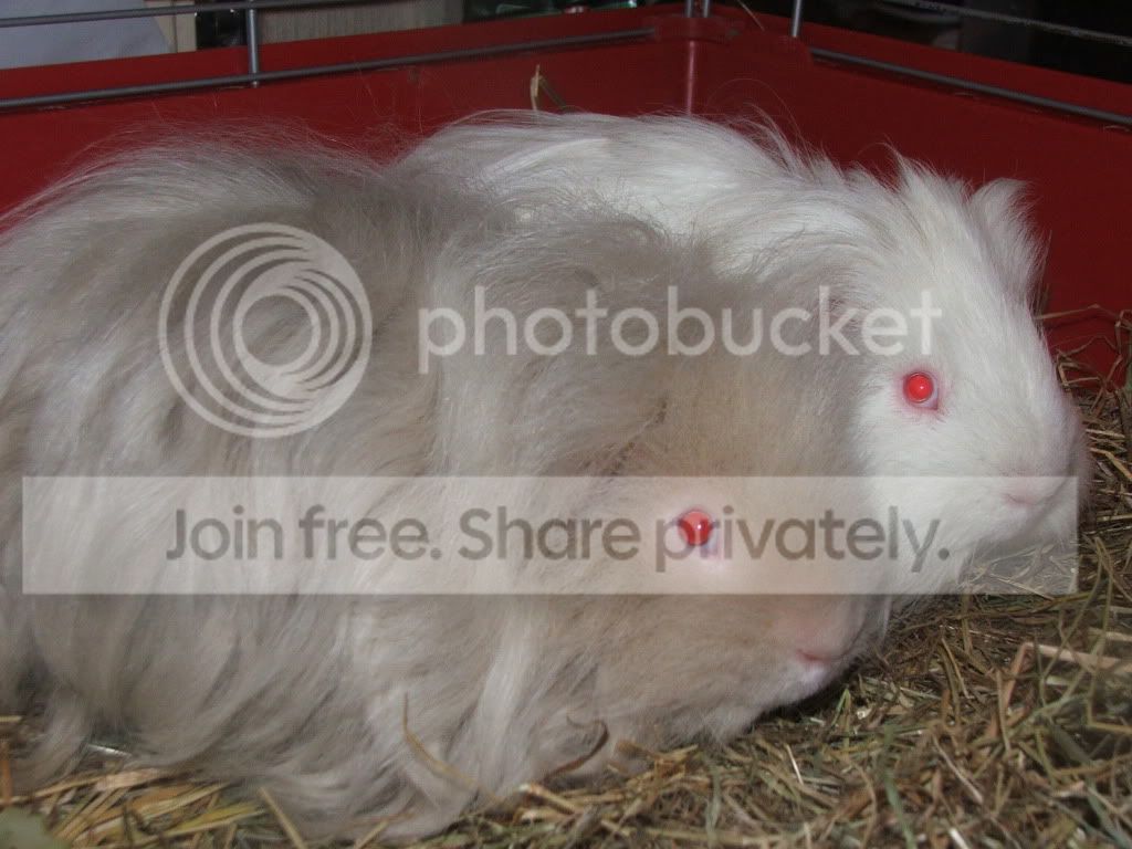 DSCF5778.jpg