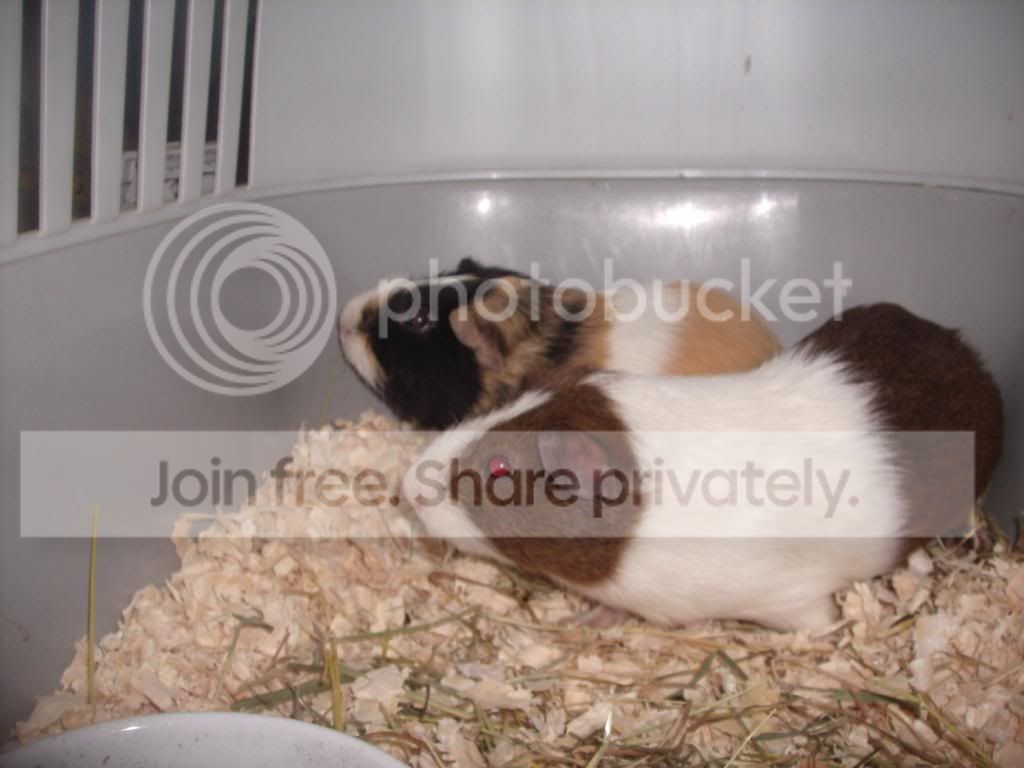 GEDC0221.jpg