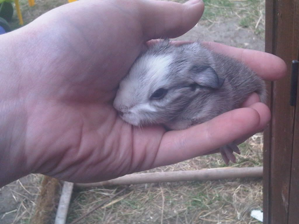 IMG01143-20110413-1655.jpg
