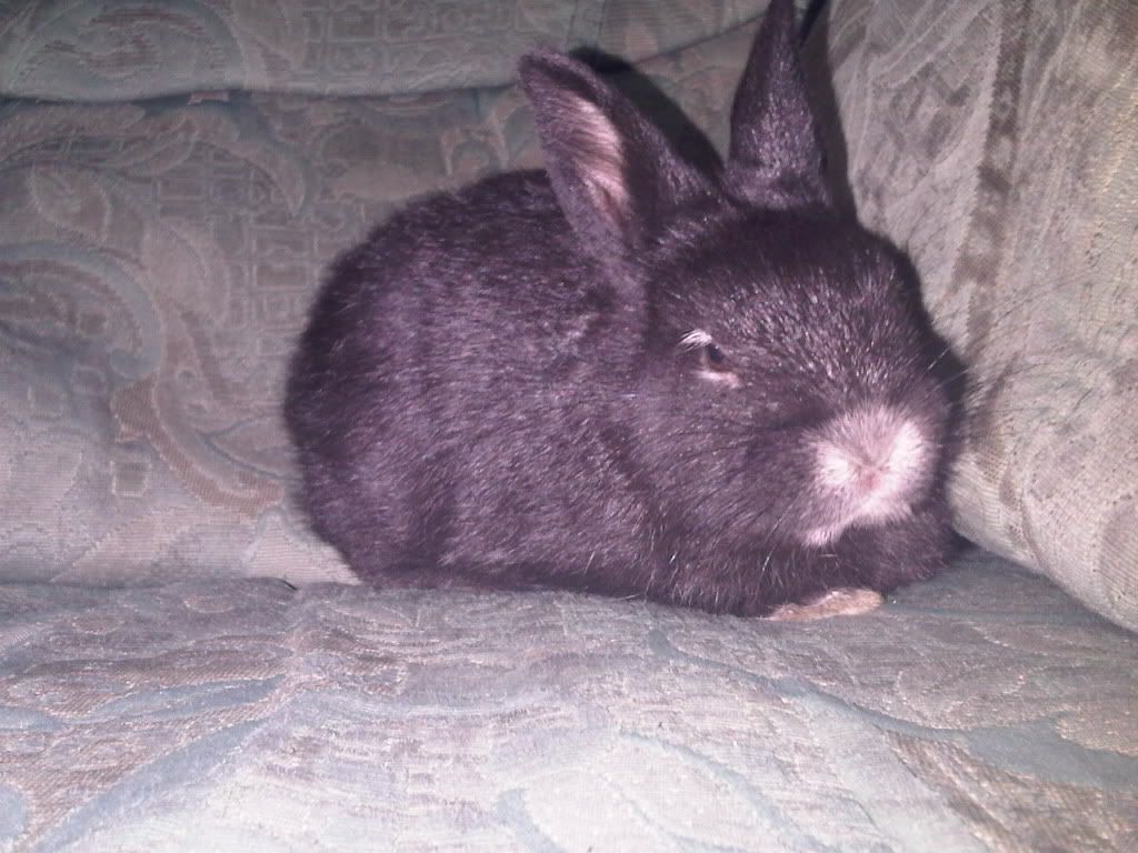 IMG01315-20110416-1555.jpg