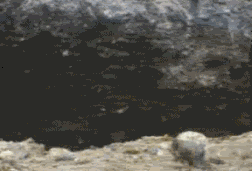 wtf_2.gif