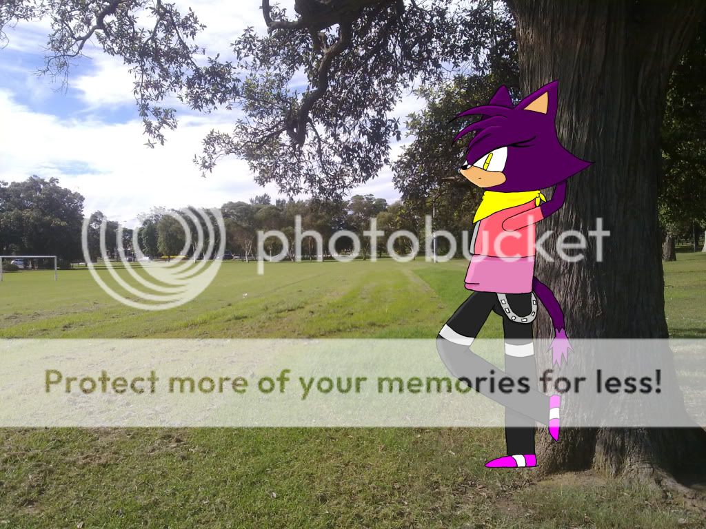 User Image