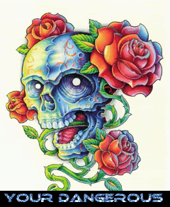 User Image