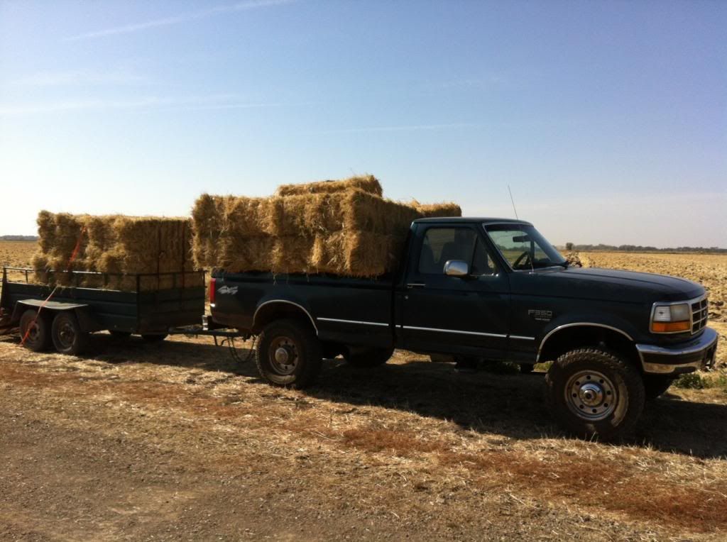 1997 f350 CA PCM - PowerStrokeNation : Ford Powerstroke ... 1997 f350 CA PCM - PowerStrokeNation : Ford Powerstroke ...