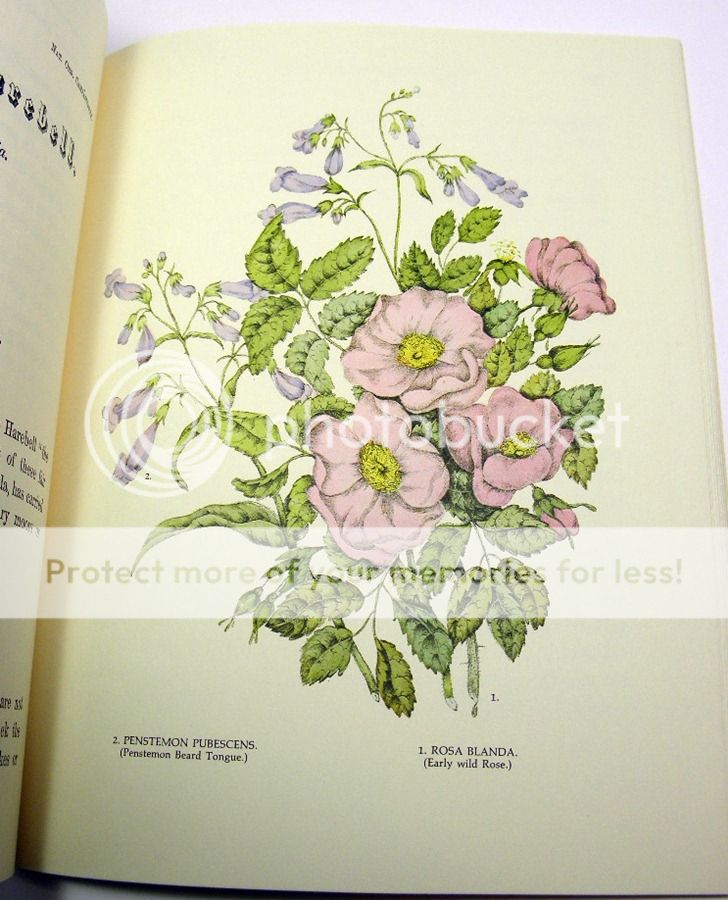 Canadian Wild Flowers by Agnes Fitzgibbon Facsimile Ed