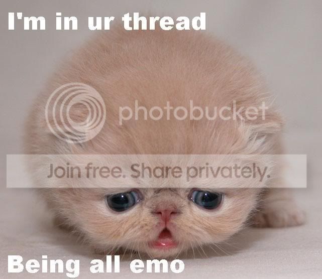 Photo Sharing and Video Hosting at Photobucket