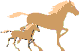 jaq1.gif